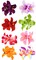 9PCS Hawaiian Flower Hair Clips for Women Hibiscus Flowers Hibiscus Hair Clip